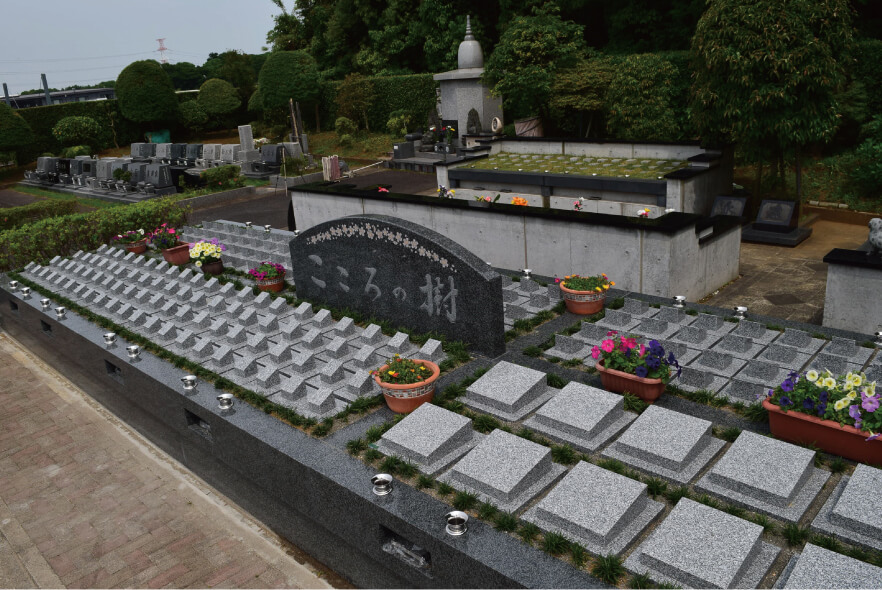 好評につき新区画オープンしました要望に応えた新プラン誕生です