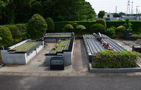 桜エリアも選択可能に、ご希望に合せて6つのエリア